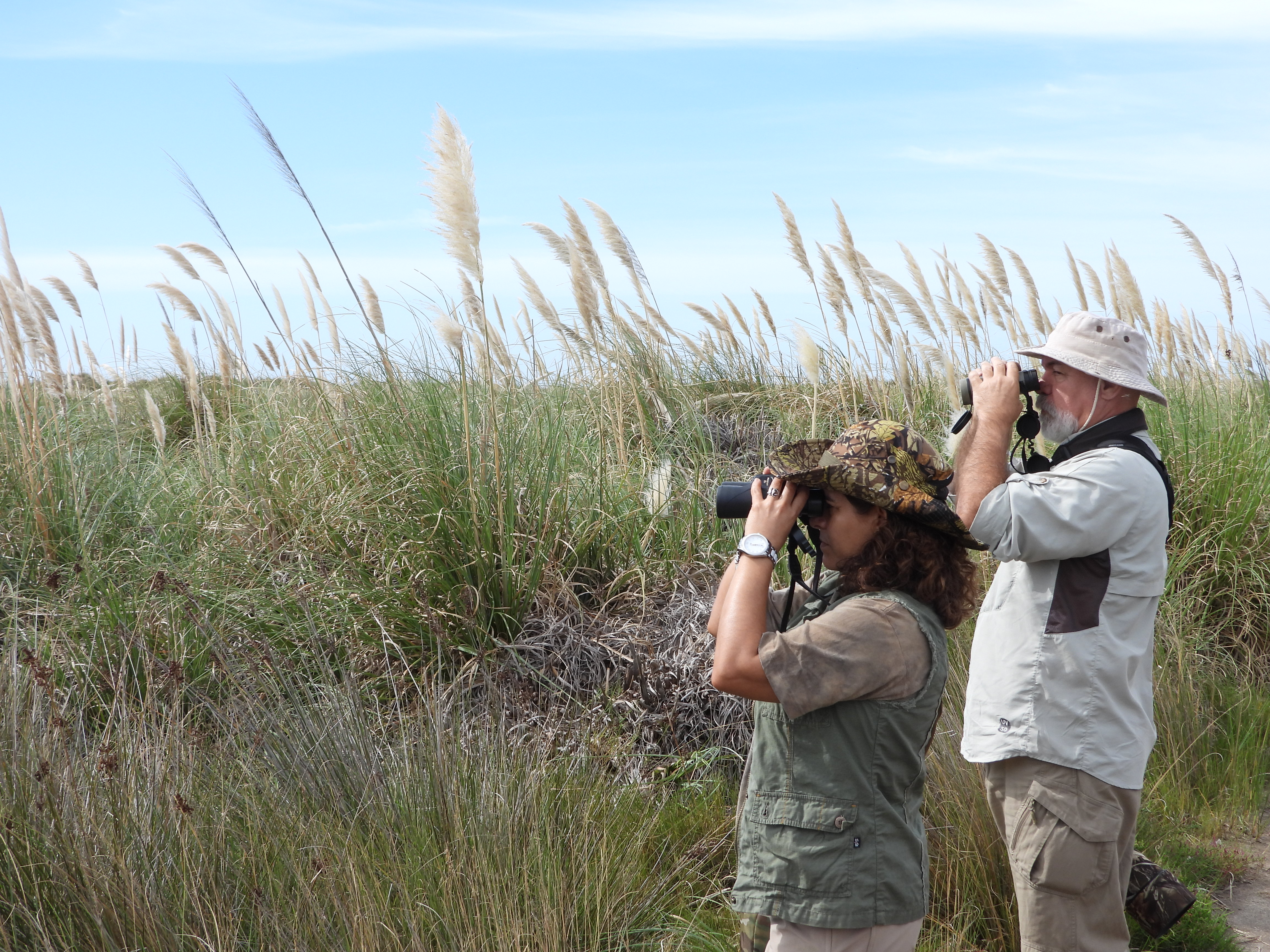 Birdwatching in the Province of Buenos Aires.