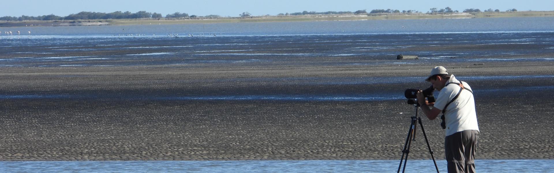 Buenos Aires Coast 