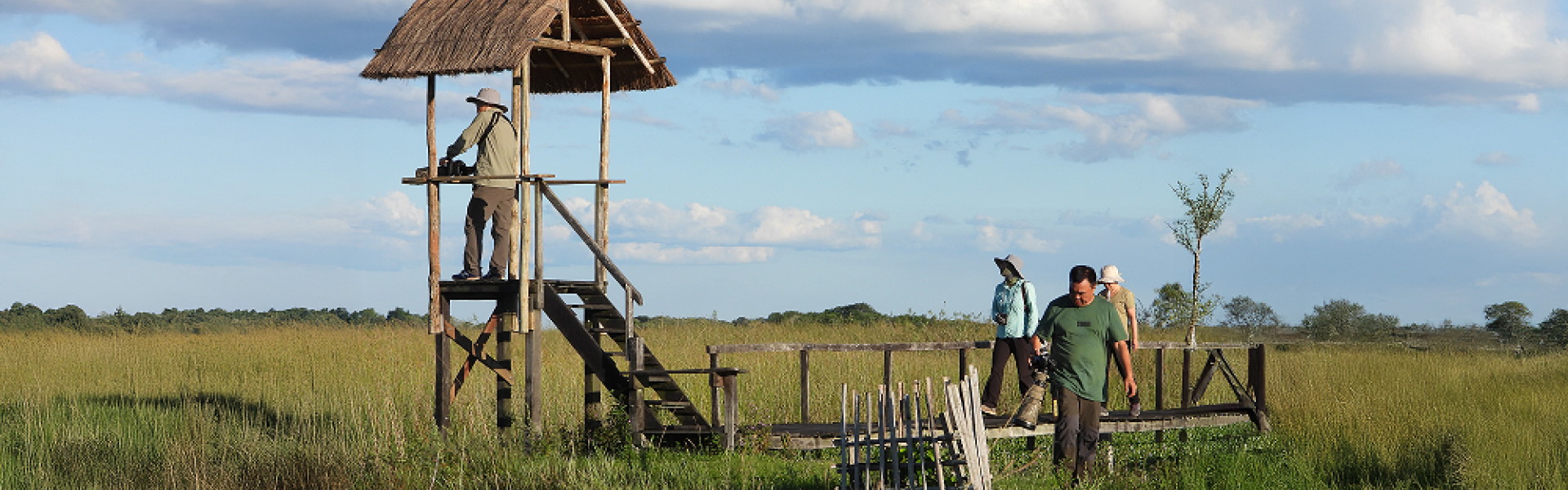 Iberá 