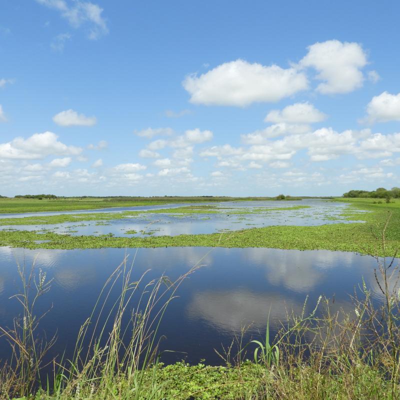 Pampas, Coast and Delta