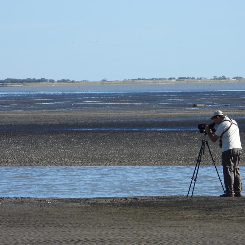 Buenos Aires Coast 